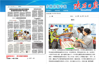 7790必发集团西北集团珑樾府项目高温慰问——《陕西日报》